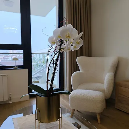 Waterfront Dream Belgrado